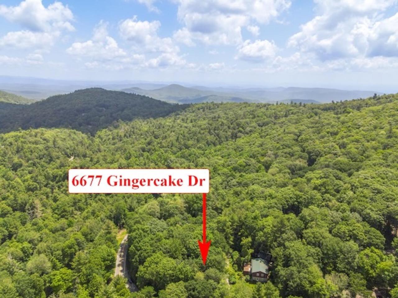 Linville Falls Gingercake Mtn Cottage At Linville Gorge - Wood Burning Fireplace מראה חיצוני תמונה