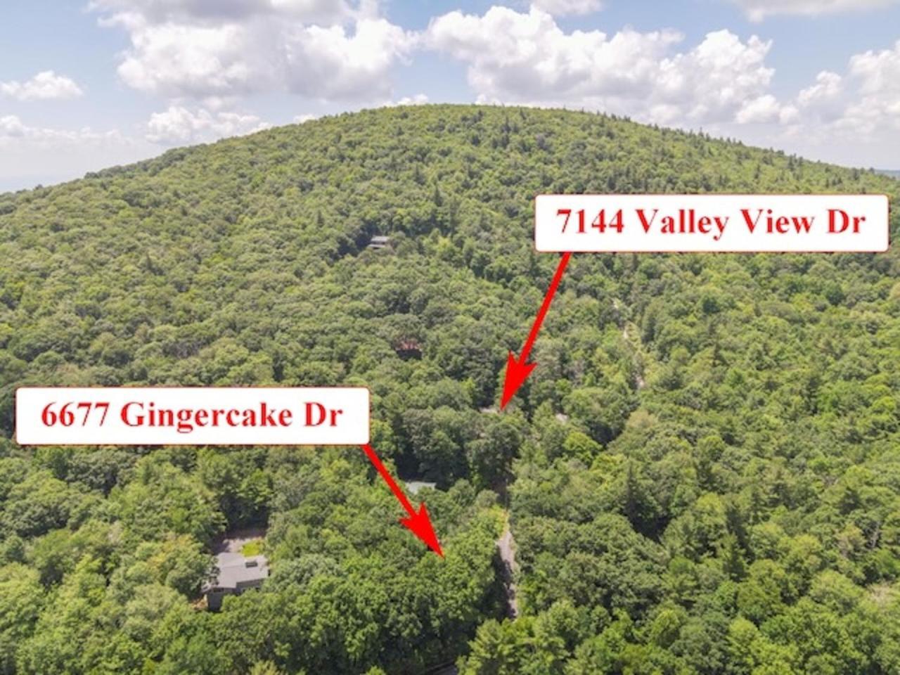 Linville Falls Gingercake Mtn Cottage At Linville Gorge - Wood Burning Fireplace מראה חיצוני תמונה